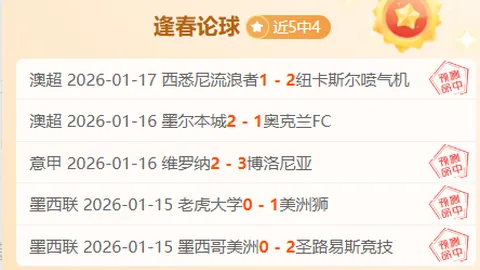 构建网络强国，探索数字化强国征程